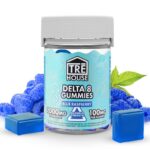 Blue Raspberry High-Potency Delta 8 Gummies