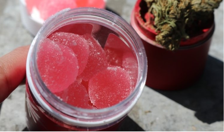 thc gummies